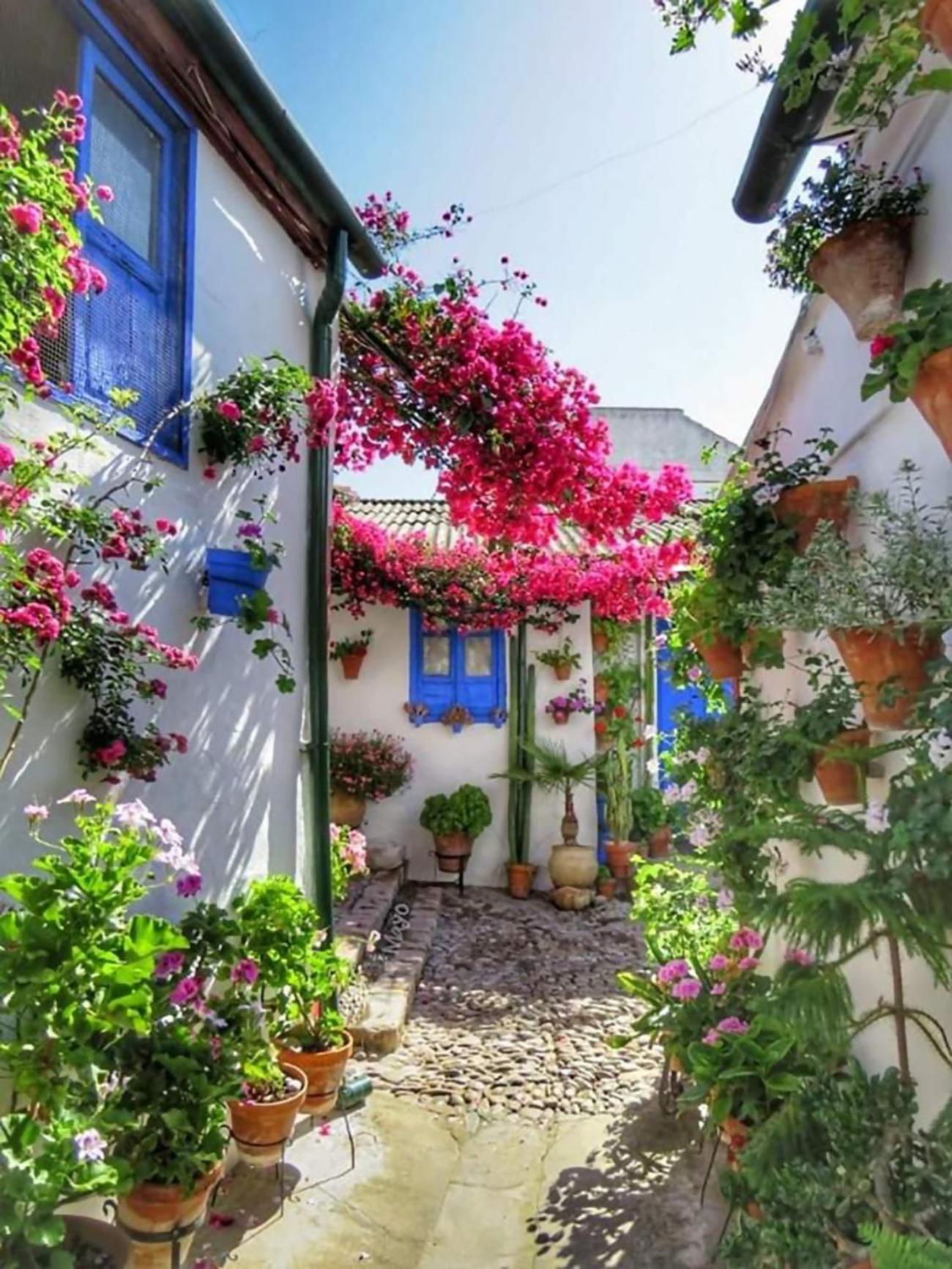 Nieves Viejas Los Patios Кордоба Екстериор снимка