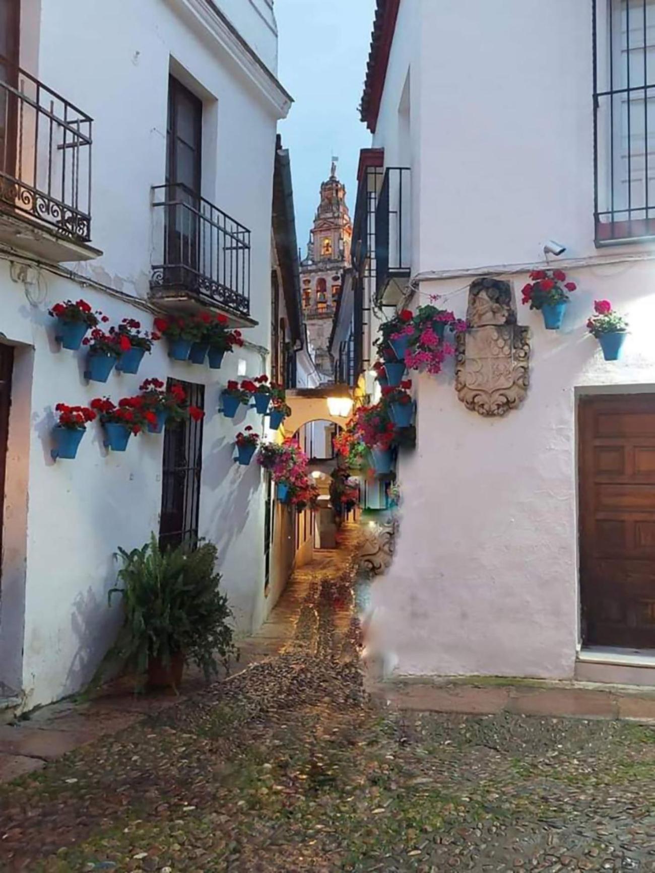 Nieves Viejas Los Patios Кордоба Екстериор снимка