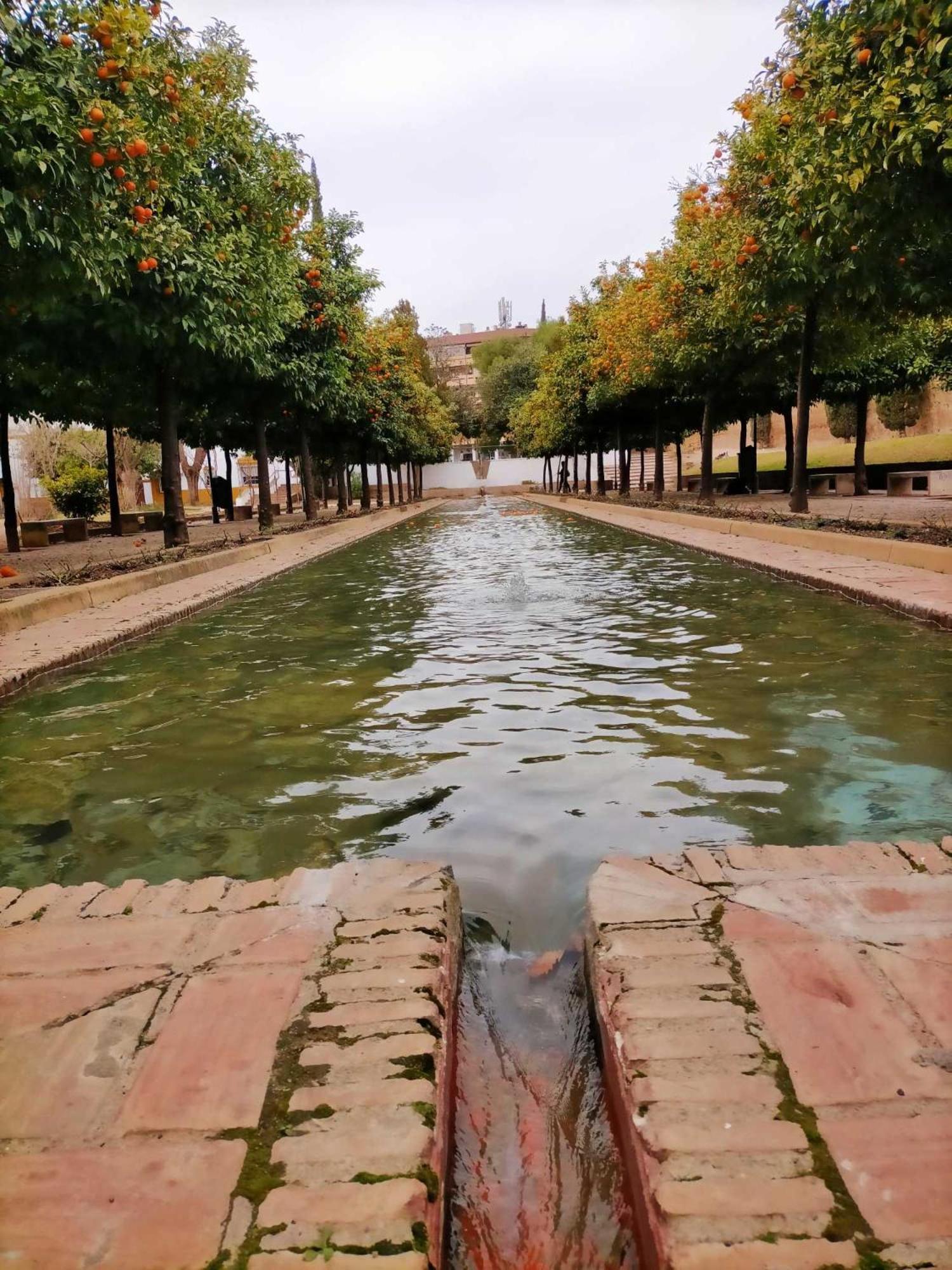 Nieves Viejas Los Patios Кордоба Екстериор снимка