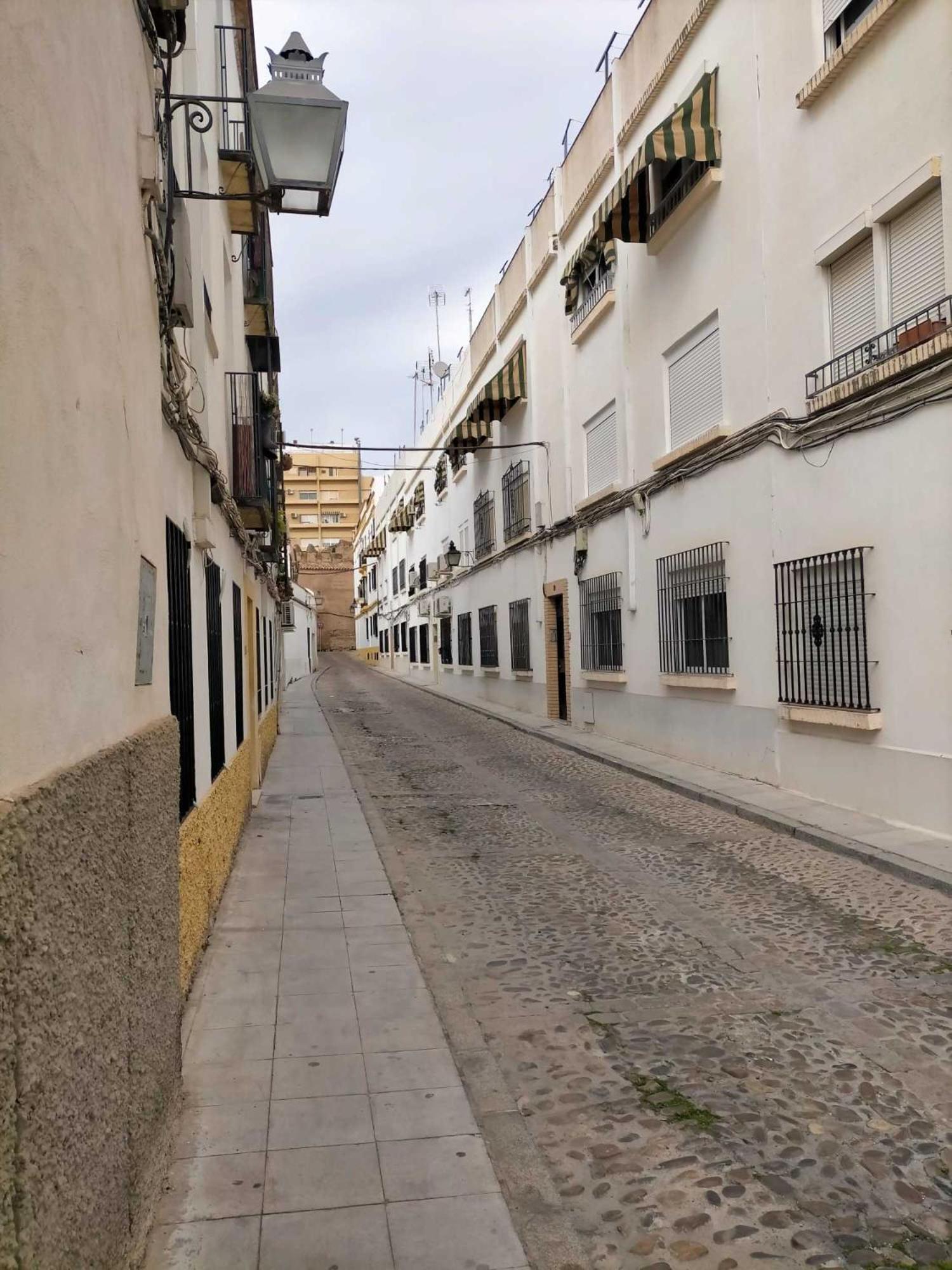 Nieves Viejas Los Patios Кордоба Екстериор снимка