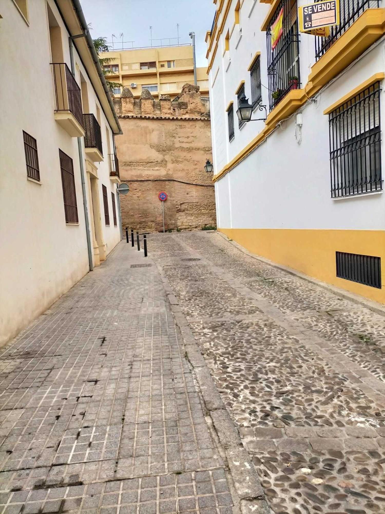 Nieves Viejas Los Patios Кордоба Екстериор снимка